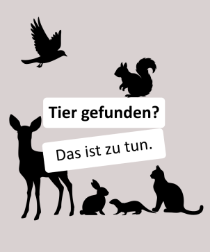 Wildtiere Grafik